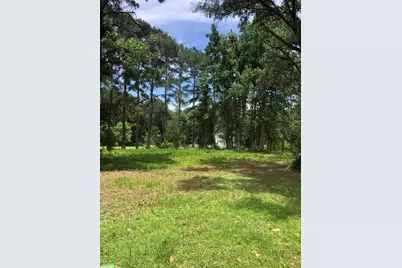 Tbd Horseshoe Circle, Conway, SC 29527 - Photo 7