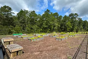 171 Warner Xing Wy, Loris, SC 29569 - Photo 45