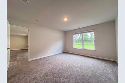 248 Country Grove Way, Galivants Ferry, SC 29544 - Photo 17