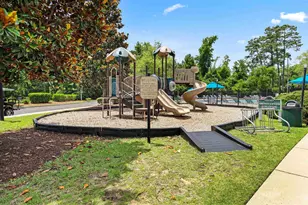 163 Long Leaf Pine Dr, Conway, SC 29526 - Photo 41