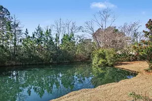 1729 Brandenberry Dr, Surfside Beach, SC 29575 - Photo 29