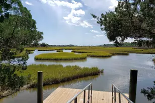 138 Avian Dr, Pawleys Island, SC 29585 - Photo 49