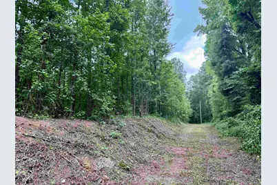 18 Acres - Tbd Driffin Ln, Salters, SC 29590 - Photo 1
