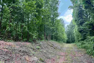 18 Acres - Tbd Driffin Ln, Salters, SC 29590 - Photo 1
