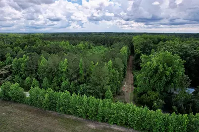 18 Acres - Tbd Driffin Ln, Salters, SC 29590 - Photo 3
