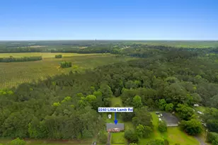 2240 Little Lamb Rd, Conway, SC 29527 - Photo 37