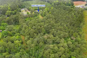 2240 Little Lamb Rd, Conway, SC 29527 - Photo 45