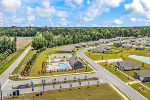 193 Country Grv Wy, Galivants Ferry, SC 29544 - Photo 45