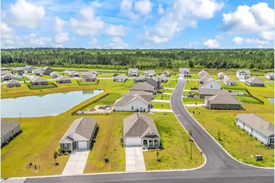 193 Country Grove Way, Galivants Ferry, SC 29544 - Photo 43
