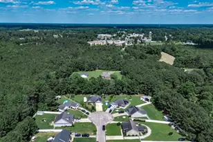 225 Fox Hunt Pl, Galivants Ferry, SC 29544 - Photo 49