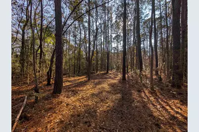 3799 N Highway 17, McClellanville, SC 29458 - Photo 3