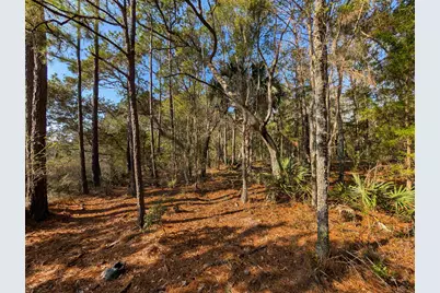 3799 N Highway 17, McClellanville, SC 29458 - Photo 5