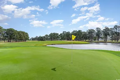 9550 Shore Dr. #326, Myrtle Beach, SC 29572 - Photo 29