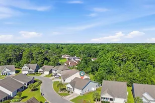 5349 Abbey Park Loop, Myrtle Beach, SC 29579 - Photo 43