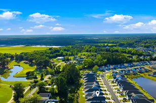 1513 Littleleaf Loop, North Myrtle Beach, SC 29582 - Photo 51