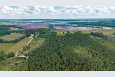 6222 Saints Delight Rd., Georgetown, SC 29440 - Photo 17
