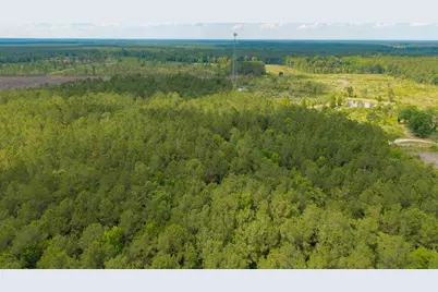 6222 Saints Delight Rd., Georgetown, SC 29440 - Photo 23