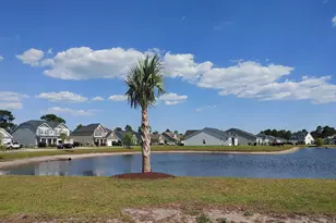 249 Astoria Park Loop, Conway, SC 29526 - Photo 3