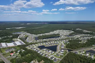 249 Astoria Park Loop, Conway, SC 29526 - Photo 37