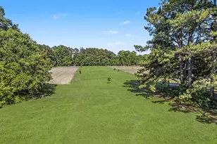 380 Morrisville Rd, Andrews, SC 29510 - Photo 53