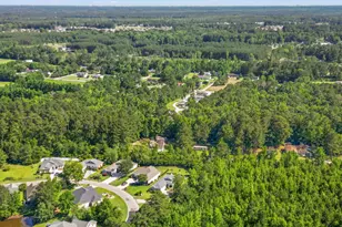 961 Foxtail Dr, Longs, SC 29568 - Photo 45