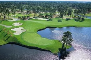 121 Forestbrook Falls Dr, Myrtle Beach, SC 29579 - Photo 25