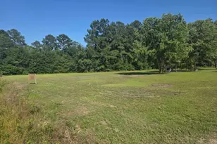 4230 Hwy 76, Nichols, SC 29581 - Photo 19