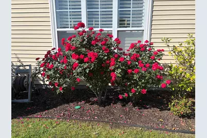 516 Benson Dr., Myrtle Beach, SC 29579 - Photo 59