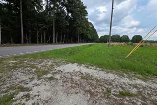 6397 Norton Rd, Green Sea, SC 29545 - Photo 31