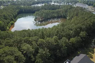 269 Christiana Ln, Myrtle Beach, SC 29579 - Photo 31