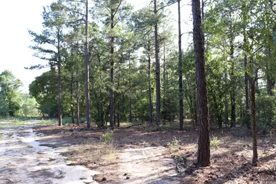 2631 Charlie Johnson Rd, Bethune, SC 29009 - Photo 25