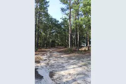 2631 Charlie Johnson Rd, Bethune, SC 29009 - Photo 29