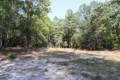 2631 Charlie Johnson Rd, Bethune, SC 29009 - Photo 27