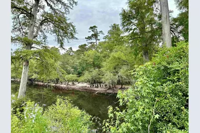 11 Gulley Ln., Salters, SC 29590 - Photo 11