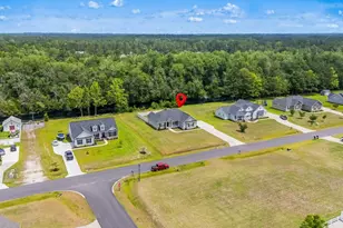 642 Sunny Pond Ln, Aynor, SC 29511 - Photo 53