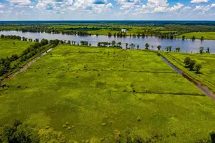 20 Ludlow Ct, Pawleys Island, SC 29585 - Photo 55