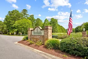 20 Ludlow Ct, Pawleys Island, SC 29585 - Photo 51