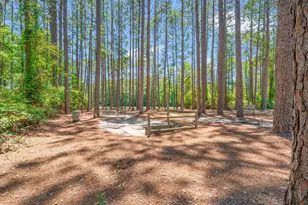 211 Butternut Cir, Conway, SC 29526 - Photo 29