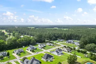 109 Mesa Raven Dr, Longs, SC 29568 - Photo 5