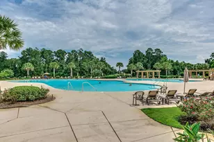 1009 Gallinule Dr, Conway, SC 29526 - Photo 69