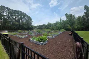 145 Cypress Tree Loop, Longs, SC 29568 - Photo 21