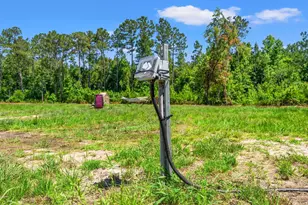 8790 Luck Rd, Nichols, SC 29581 - Photo 25
