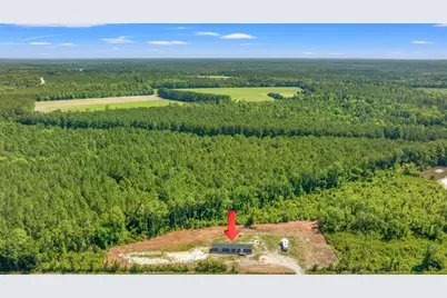 8790 Luck Rd., Nichols, SC 29581 - Photo 43