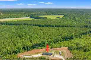 8790 Luck Rd, Nichols, SC 29581 - Photo 43