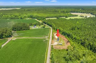 8790 Luck Rd, Nichols, SC 29581 - Photo 49