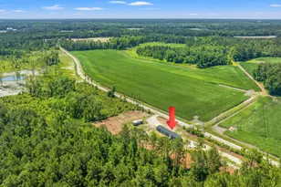 8790 Luck Rd, Nichols, SC 29581 - Photo 51