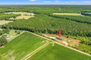 8790 Luck Rd, Nichols, SC 29581 - Photo 47