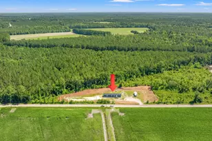 8790 Luck Rd, Nichols, SC 29581 - Photo 45