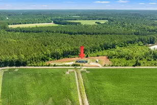 8790 Luck Rd, Nichols, SC 29581 - Photo 55