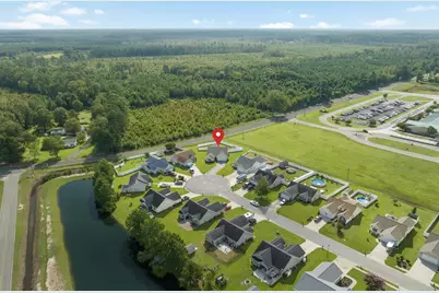 252 Hickory Springs Ct., Conway, SC 29527 - Photo 35